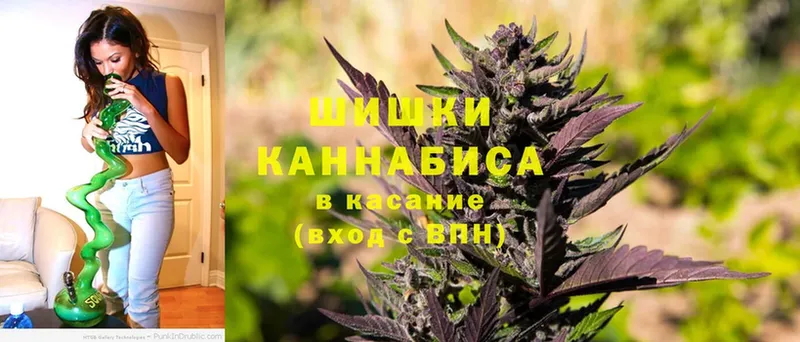 Конопля Amnesia  купить   Красноперекопск 